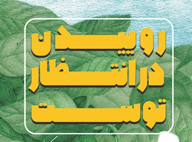 روییدن در انتظار توست