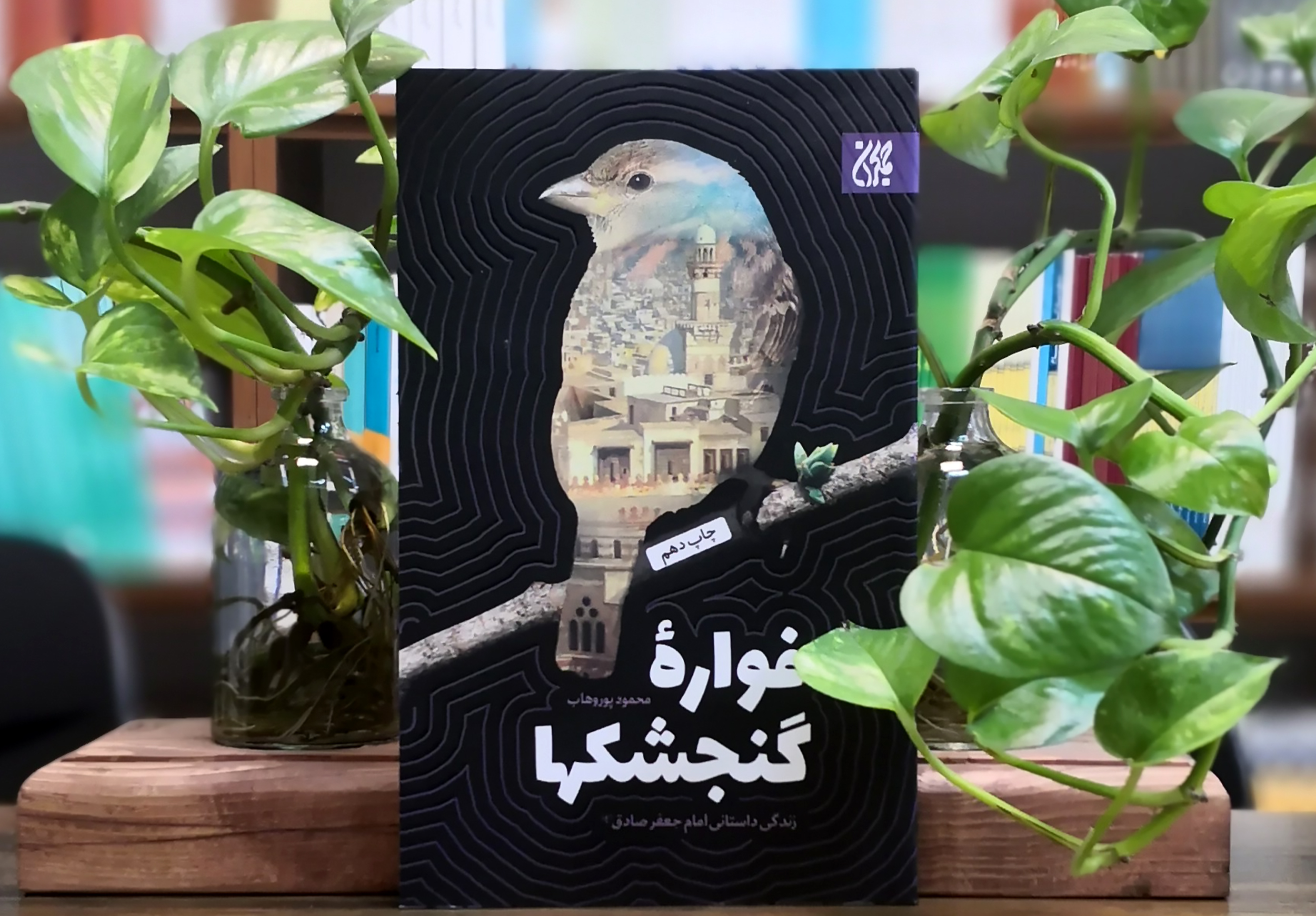 کتاب فواره گنجشک ها