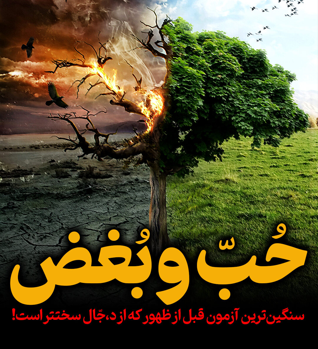 ایمان، چیزی جز حب و بغض نیست!