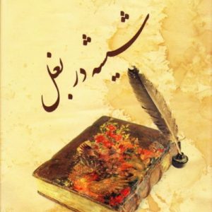 گزیده بیدل جلد ۲ :شیشه در بغل