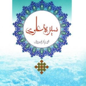 سیره علوی / تربیتی , اخلاقی , حکومتی