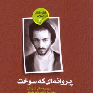 پروانه ای که سوخت