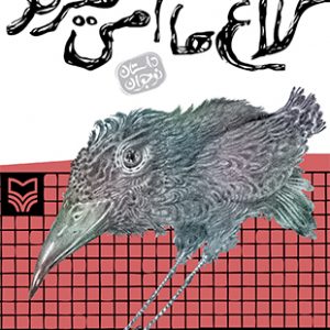 کلاغ ها هم می میرند
