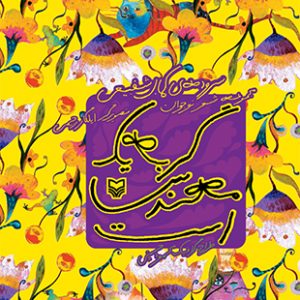 گربه یک مهندس است