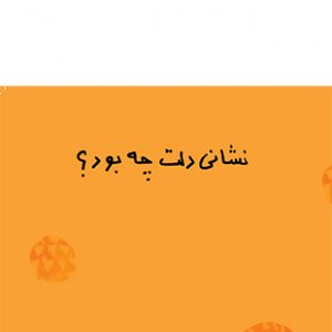 نشانی دلت چه بود