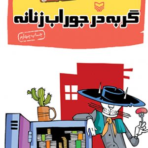 گربه در جوراب زنانه