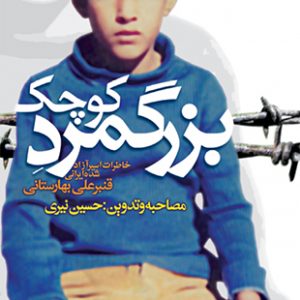 بزرگمرد کوچک