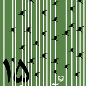 سید آسایشگاه 15