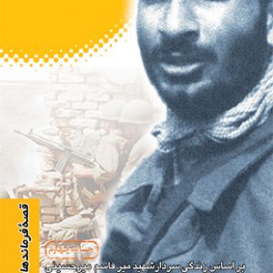 دلاور مرد سیستان