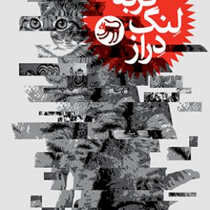 گربه لنگ دراز