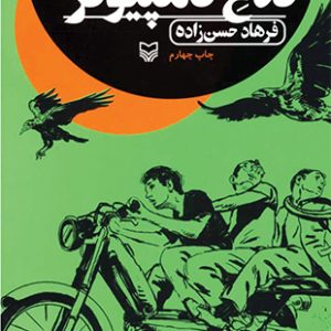 کلاغ کامپیوتر