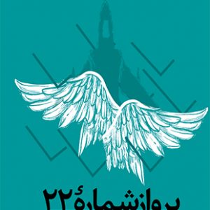 پرواز شماره 22