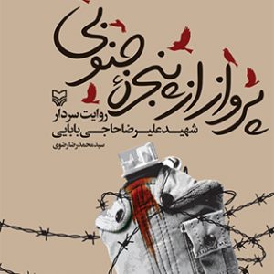 پرواز از پنجره جنوبی