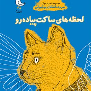 لحظه های ساکت پیاده رو