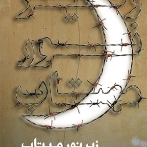 زیر نور مهتاب