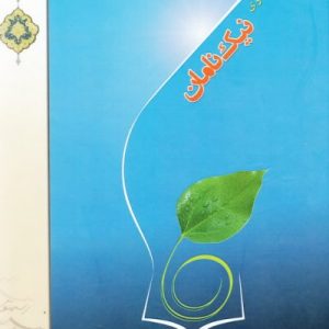 گذری در کوی نیک نامان