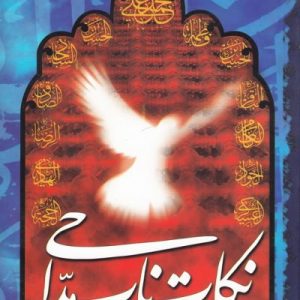 نکات ناب مداحی