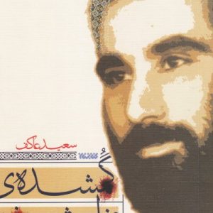 گمشده مزار شریف