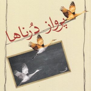 پرواز درناها