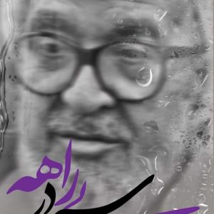 سیر در بیراهه