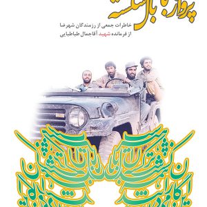 پرواز با بال شکسته