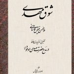 شوق مهدی