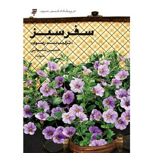 درپیشگاه شمس(سوم):سفرسبز؛ترکیب بند رضوی