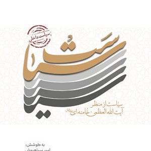 سیاست داخلی