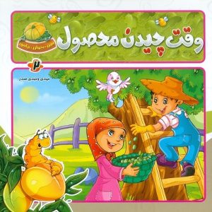 وقت چیدن محصول