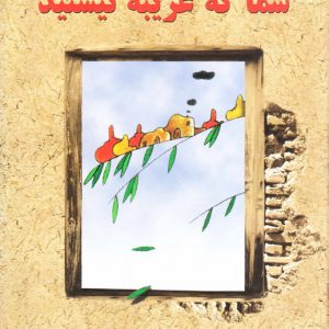 شما که غریبه نیستید