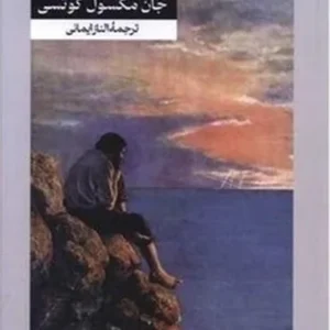 آقای فو