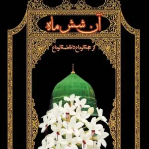 کتاب آن شش ماه