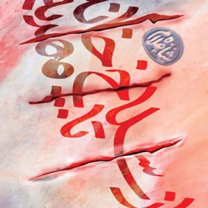 کتاب از سلاخ خانه تا مهدیه
