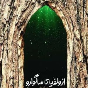 کتاب از ولفیا تا ساگوارو