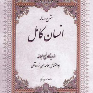 کتاب انسان کامل