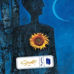 کتاب بصیرت