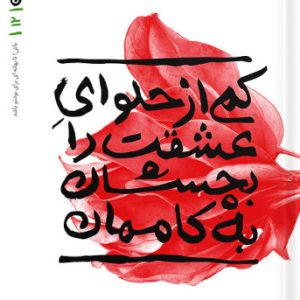 کتاب بهانه بودن جلد 12