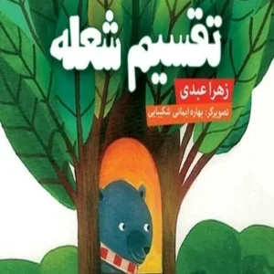 تقسیم شعله