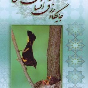جایگاه رزق انسان در هستی