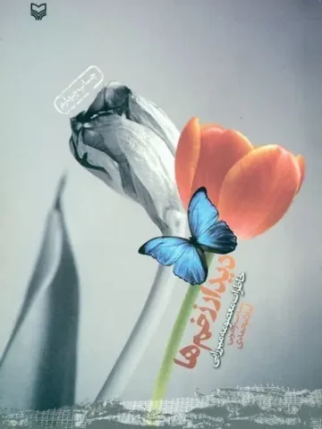 کتاب دیدار زخم ها