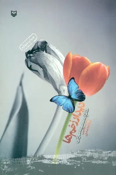 دیدار زحم ها کتاب دیدار زخم ها