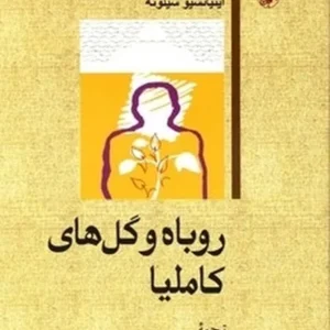 روباه و گلهای کاملیا