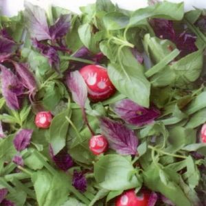 کتاب زندگی به طعم اخلاق
