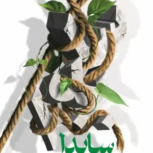 سایدا