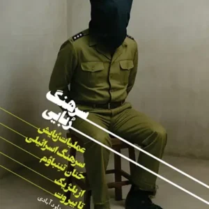 کتاب سرهنگ ربایی