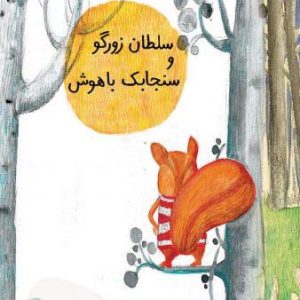 کتاب سلطان زورگو و سنجاقک باهوش