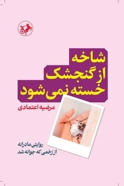 شاخه-از-گنجشک-خسته-نمی-شود شاخه از گنجشک خسته نمی شود - تصویر 1