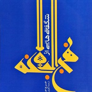 کتاب شگفتی هایی از نهج البلاغه