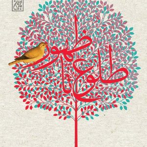 کتاب طلوع تا ظهور