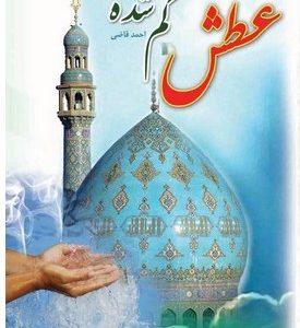کتاب شعر عطش گم شده